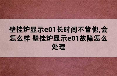 壁挂炉显示e01长时间不管他,会怎么样 壁挂炉显示e01故障怎么处理